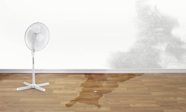Best Mold removal after water damage  in Edmond, OK