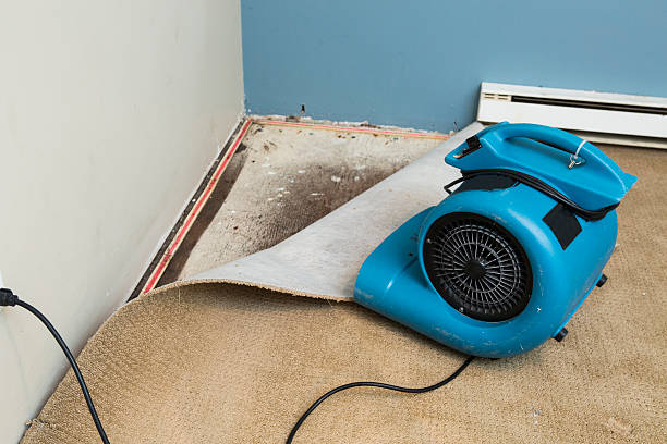 Best Residential water damage restoration  in Edmond, OK